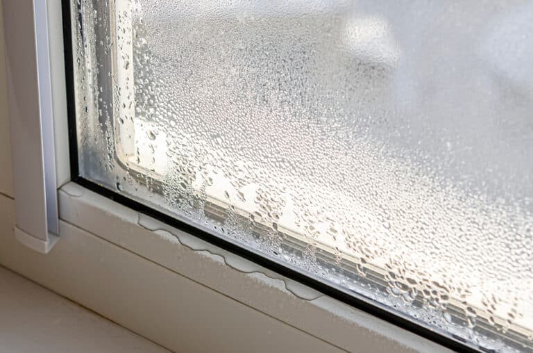 How Insulation & Air Sealing Protect Your Home from Moisture & Mold Growth