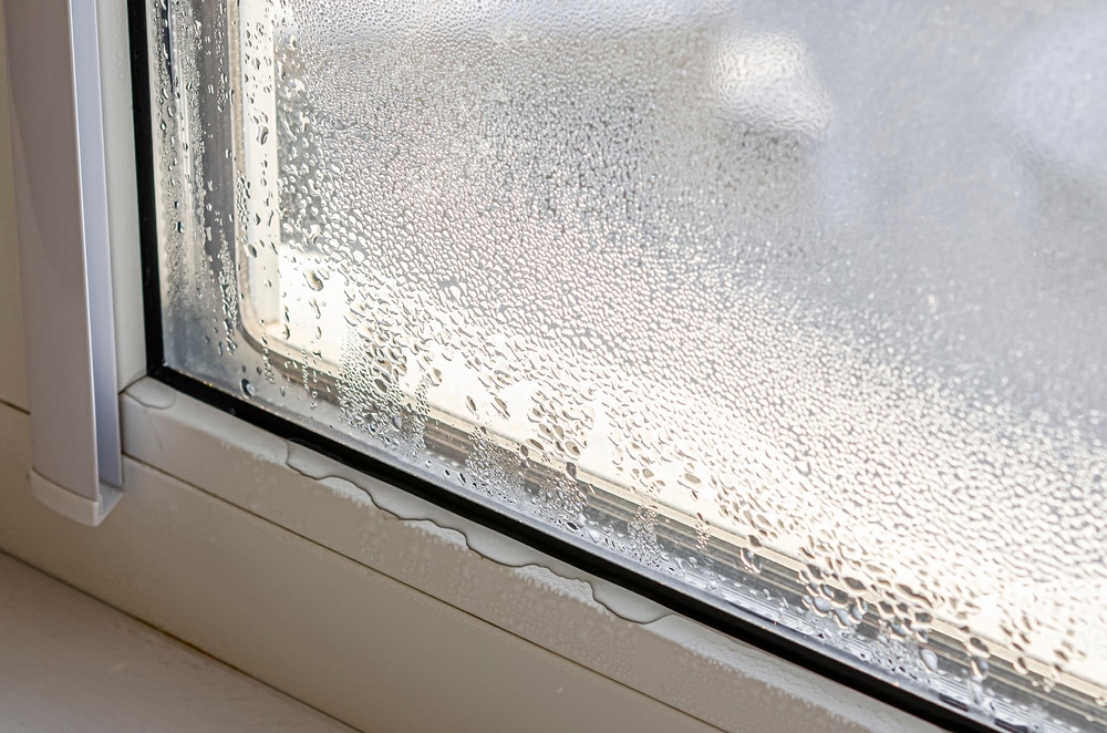 How Insulation & Air Sealing Protect Your Home from Moisture & Mold Growth blog header image